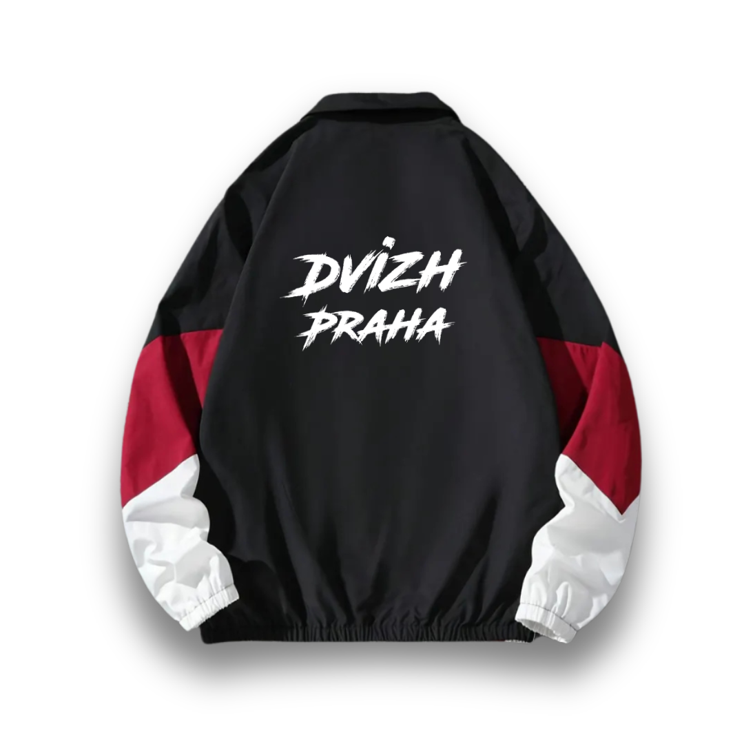 Олимпийка "Dvizh Praha"