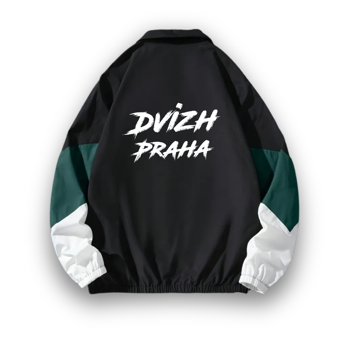 Олимпийка "Dvizh Praha"